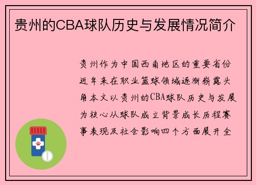 贵州的CBA球队历史与发展情况简介