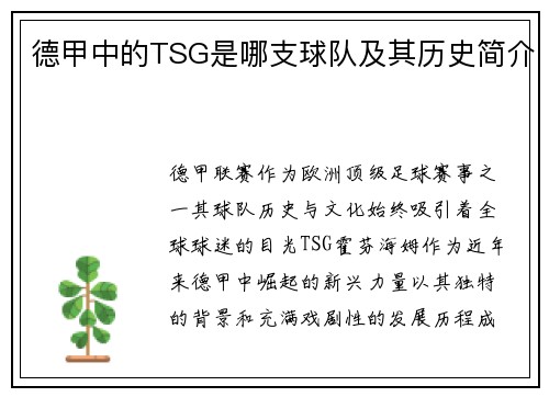 德甲中的TSG是哪支球队及其历史简介